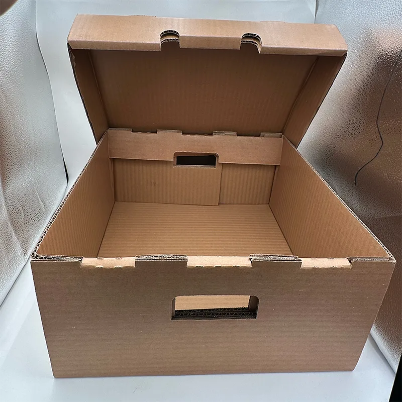 Large Waterproof Cardboard Box