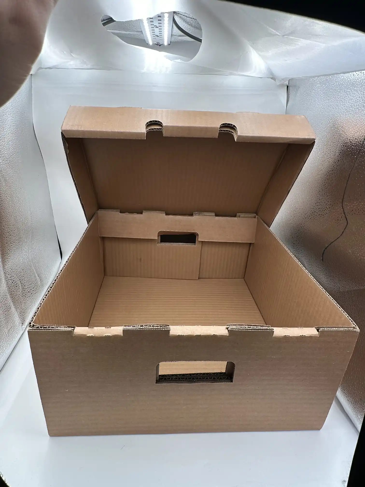 Large Waxed Corrugated Box
